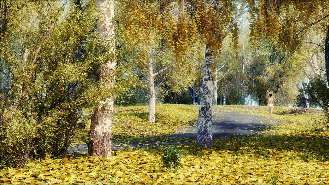 brunt realist type-3 リアリスト　黒 BRUNT Realist Type3リアリスト3 Helinoxケース付き